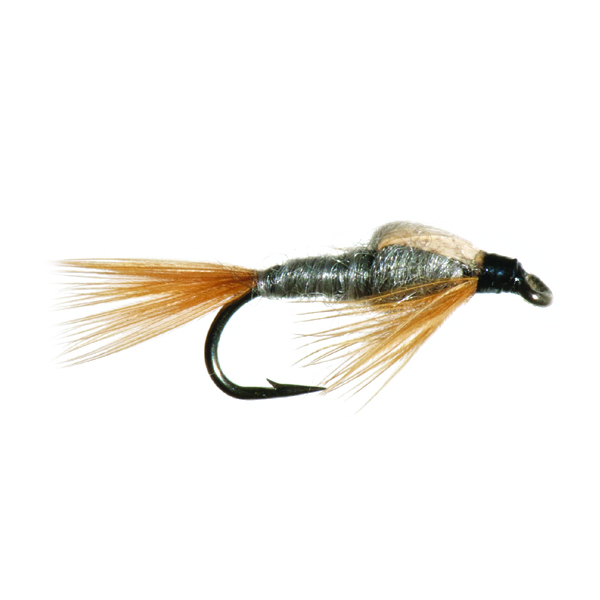 Mouches Neptune Flies - Dark Cahill Nymphs Fly